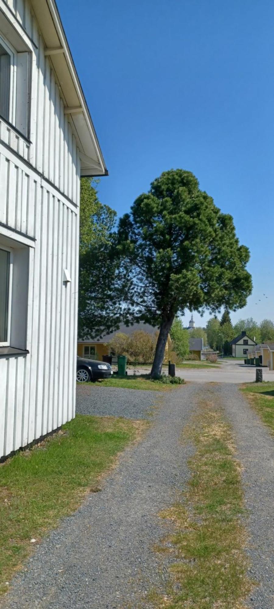 Vita Villan Haparanda  Bagian luar foto